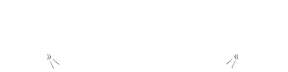 Villagers Outpost
